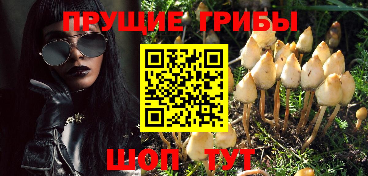 Галлюциногенные грибы мухоморы  Вход с VPN  Можайск 