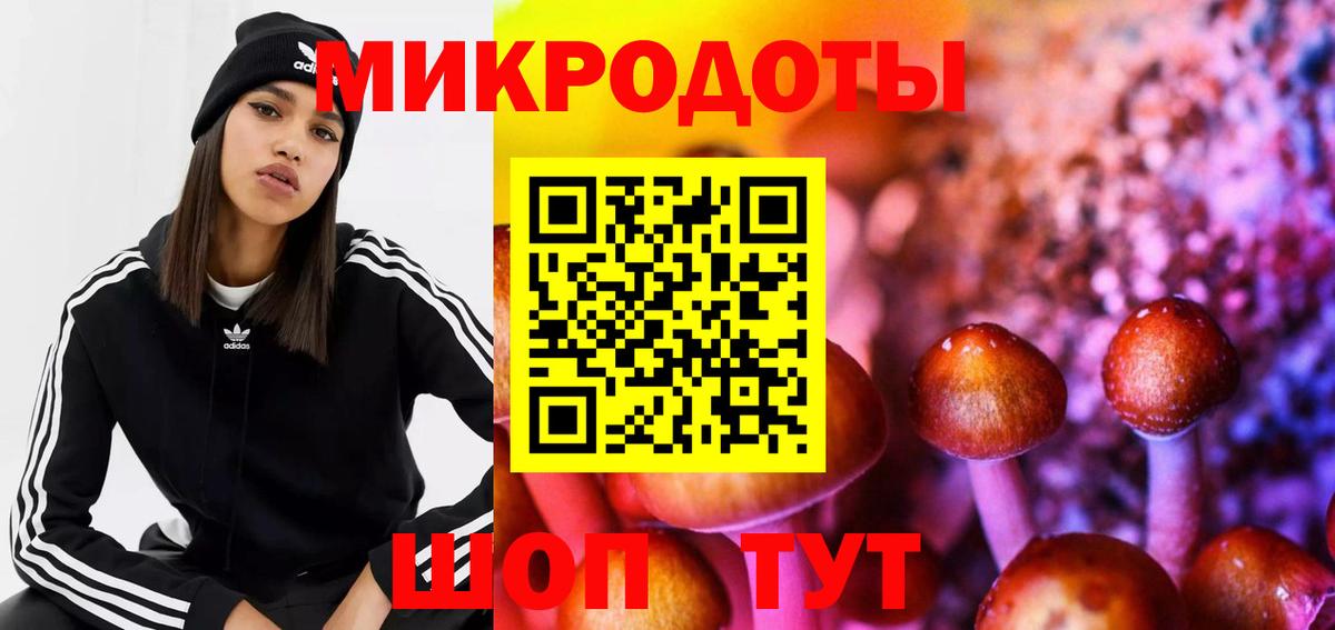 Псилоцибиновые грибы Psilocybe Можайск